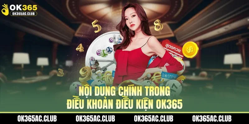 Nội dung chính trong điều khoản điều kiện OK365