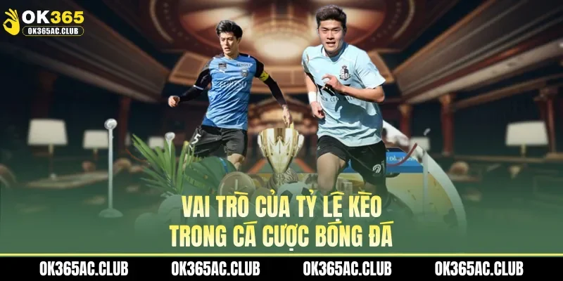 Vai trò của tỷ lệ kèo trong cá cược bóng đá